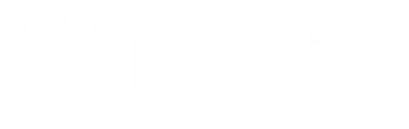 Dijital Marka Cüzdanı Paynar